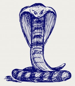15873217 - snake sketch